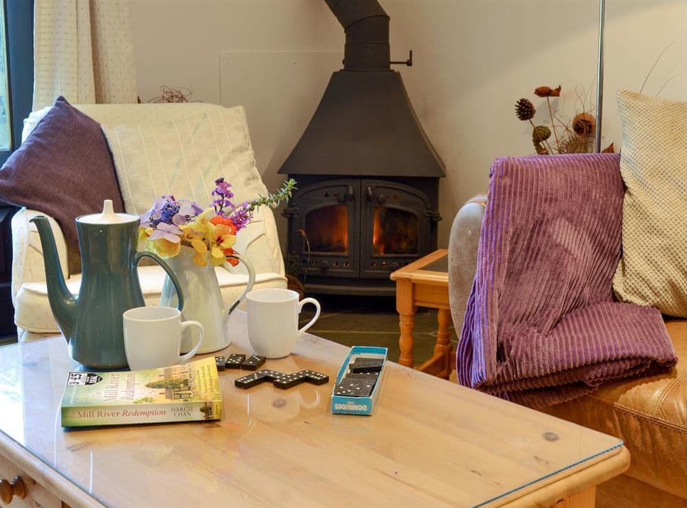 Cosy wood burner in the living room at Clematis Cottage in Derriton, near Holsworthy, Devon
