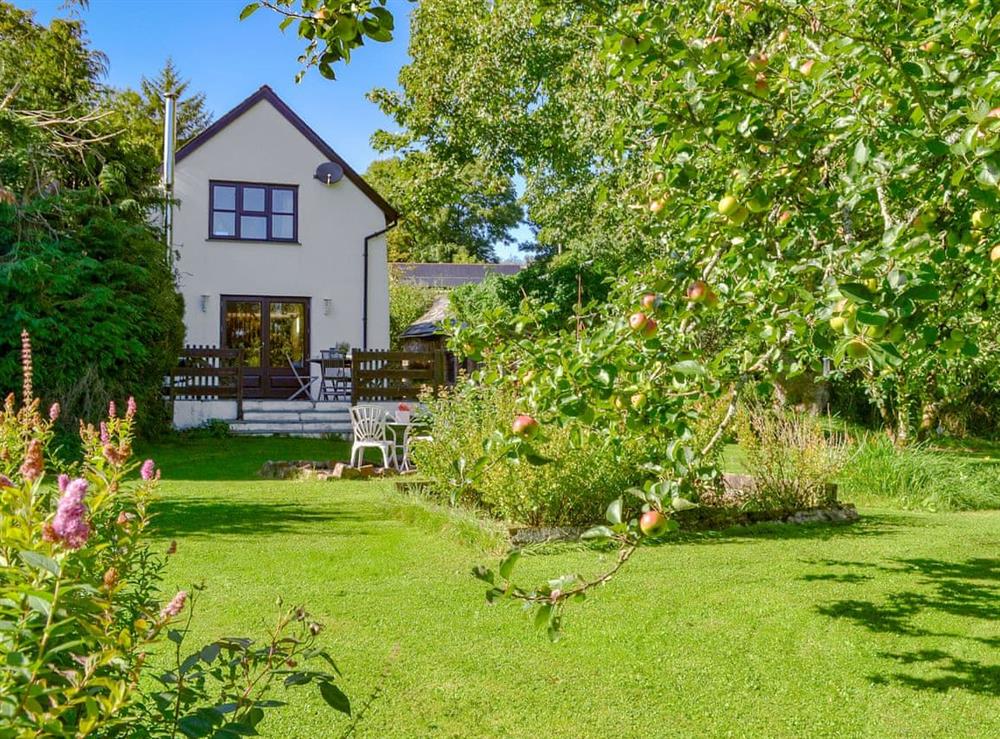 Spacious garden and grounds at Clematis Cottage in Derriton, near Holsworthy, Devon