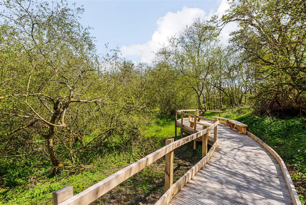 The accessible boardwalk with benches and picnic areas