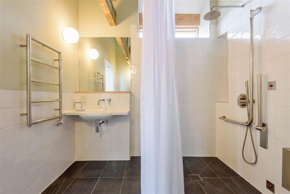 The accessible family wet room with walk-in shower, wash basin, and WC with support rails