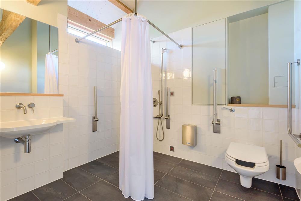 The accessible family wet room with walk-in shower, wash basin and WC with support rails at Clementine, Dorchester