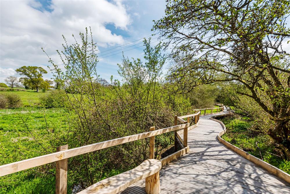 Wonderful views of the countryside from the accessible boardwalk at Clementine, Dorset at Clementine, Dorchester
