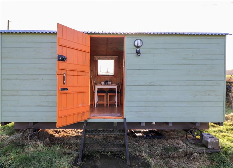 Enjoy the garden at Clementine Shepherds Hut, Dumfries