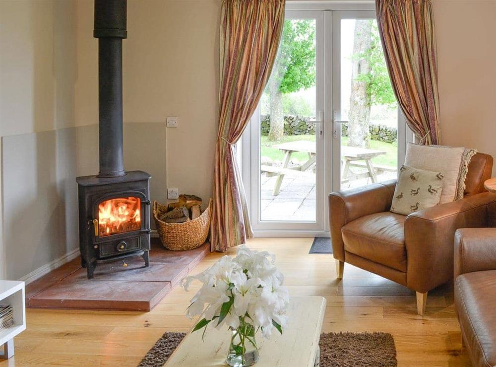Warm and cosy living room with woodburner at Cleughbrae Cottage in Dalry, near Castle Douglas, Kirkcudbrightshire