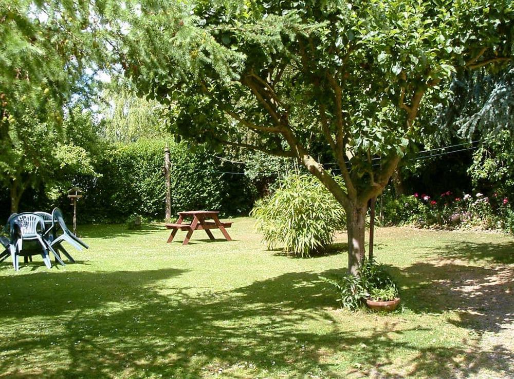 Communal garden for all guests and dogs to enjoy at Cherry Tree Cottage, 