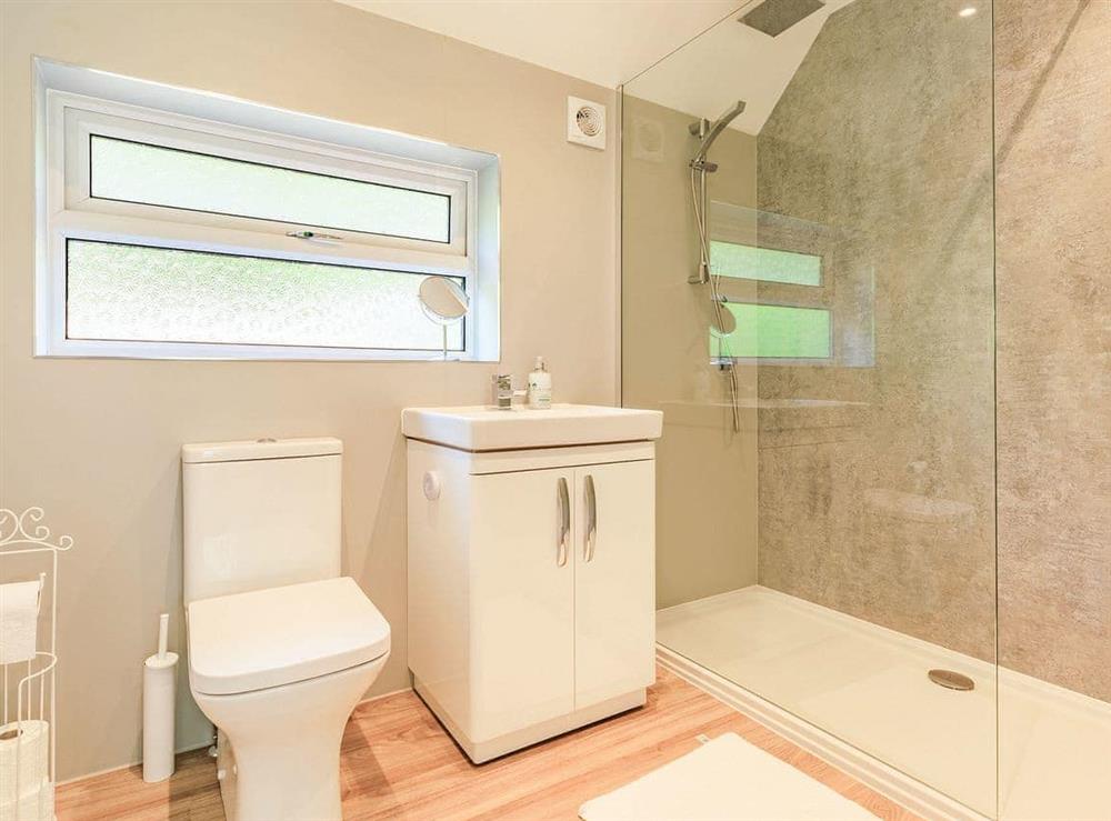 Shower room at Clicket Water in Timberscombe, Somerset