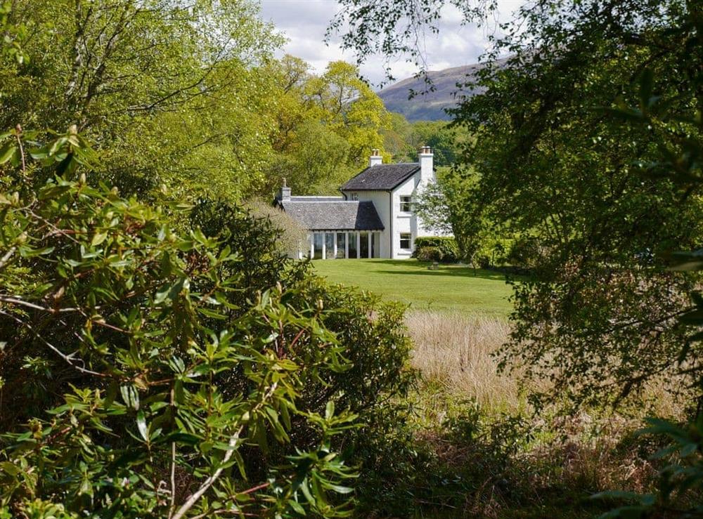 View from the woods at Cliff Cottage in Port Appin, Argyll., Great Britain