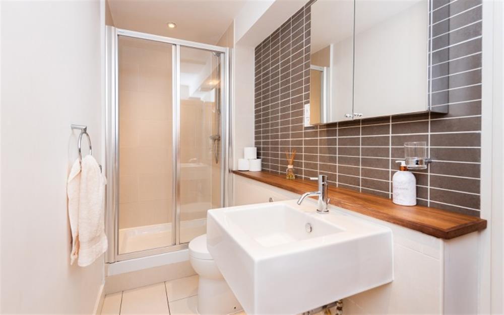 Double shower with WC and sink at Cliff View in Seaton
