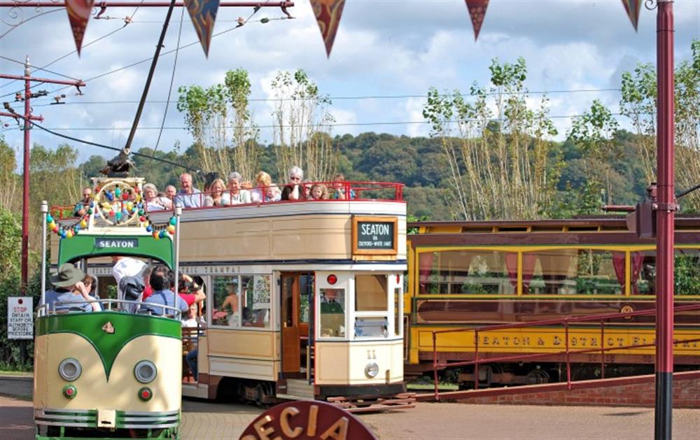 Seaton Tramway at Cliff View in Seaton
