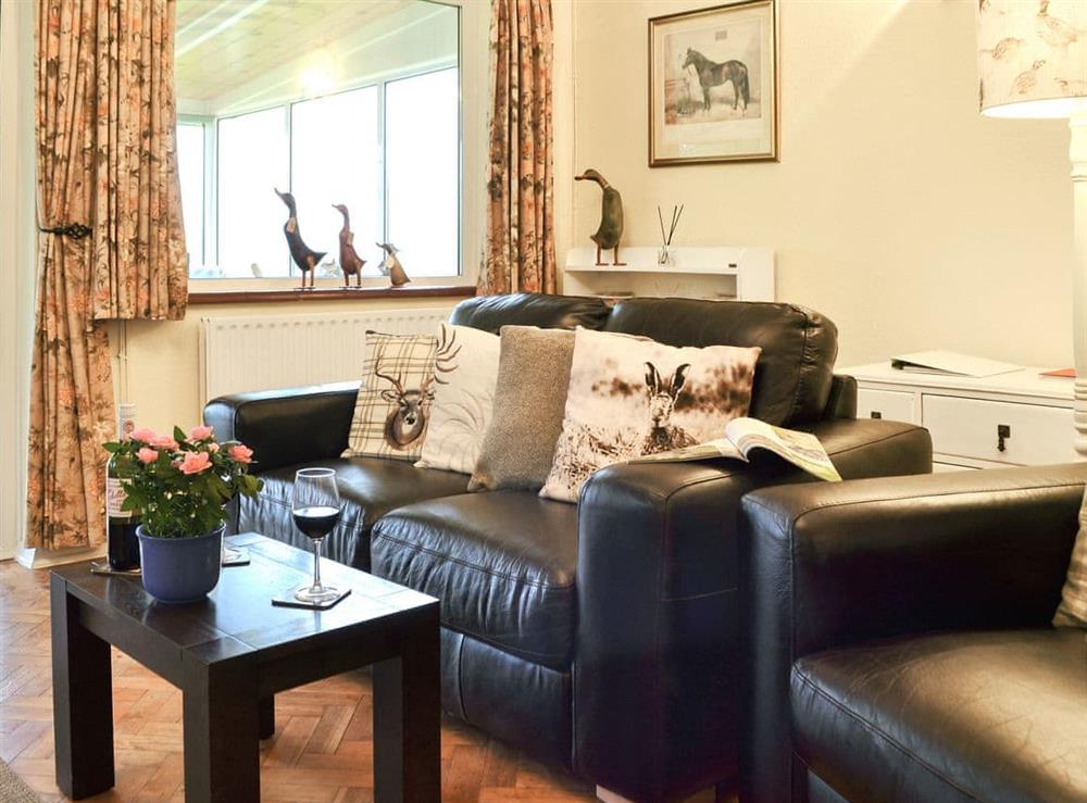 Comfy living room at Clip Clops in Findon, near Worthing, West Sussex