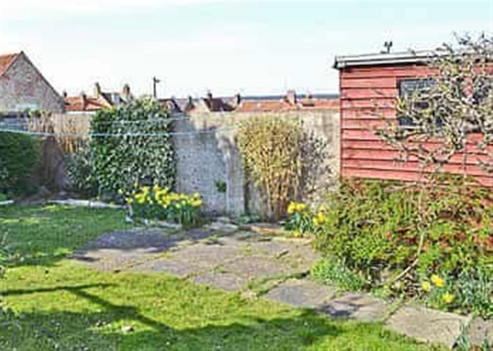 Garden at Clipper Cottage in Wells-next-the-Sea, Norfolk., Great Britain