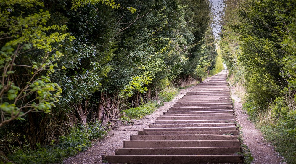 A long stretch of steps leading up to the main Cliveden Estate, near Cliveden New Cottage and Ferry Cottage, Berkshire at Cliveden New Cottage in Nr Maidenhead, Berkshire
