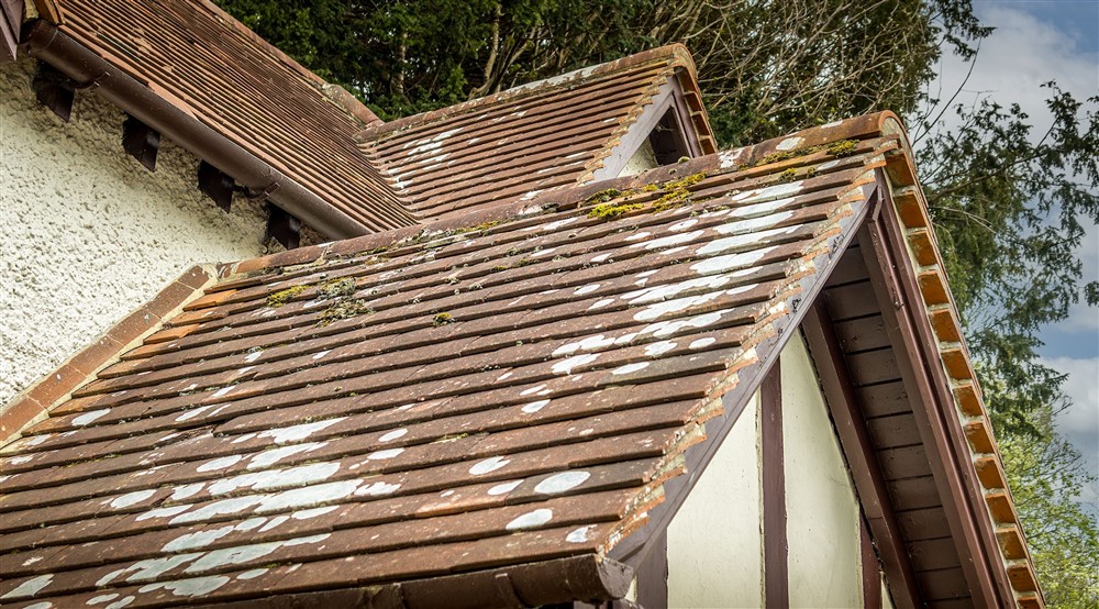 The red-tiled roof of Cliveden New Cottage, Berkshire at Cliveden New Cottage in Nr Maidenhead, Berkshire