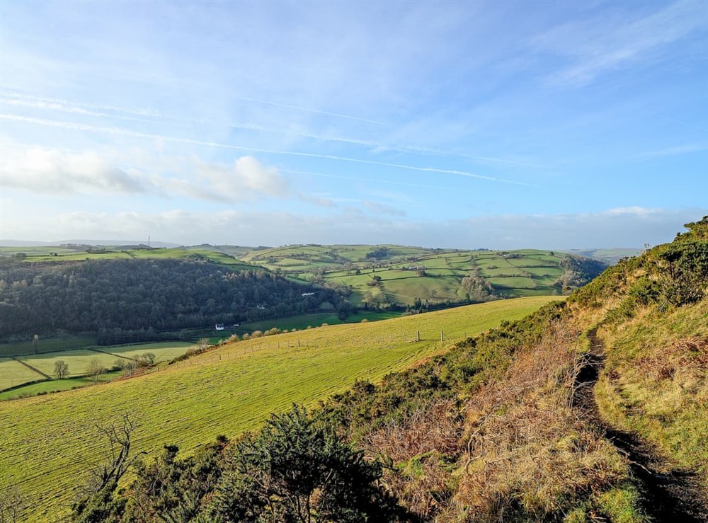 A photo at Clock Tower View in Knighton, Powys