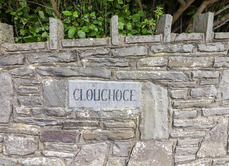 The garden at Cloughoge House, Kilrush