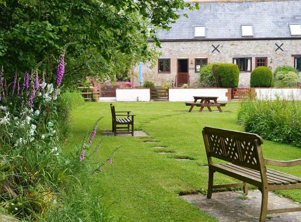 Shared garden and grounds at Clouseau Cottage in Lyme Regis, Dorset., Great Britain