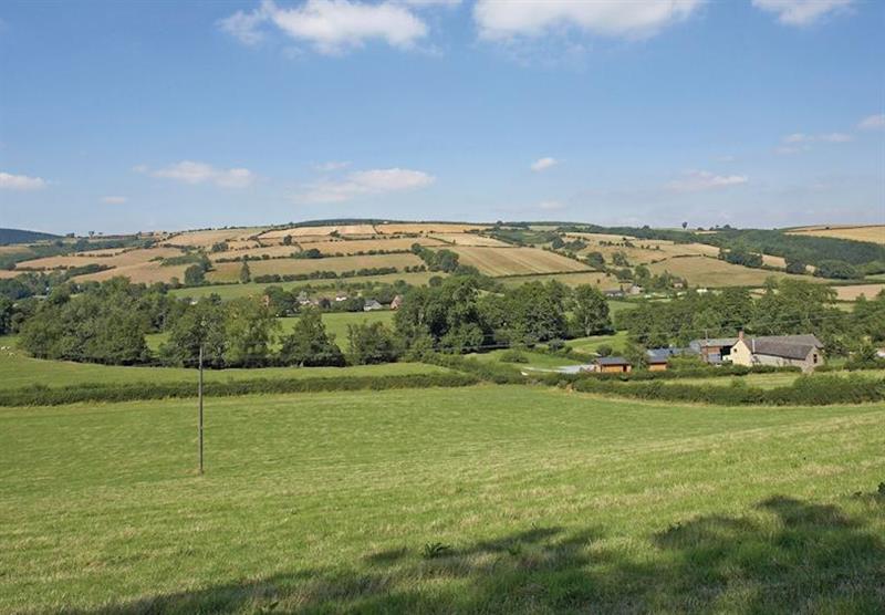 Park views at Clun Valley Lodges in Clunton, Shropshire