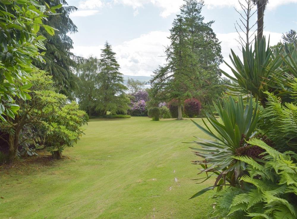 Garden and grounds (photo 2) at Cluniter Cottage in Innellan Dunoon, Argyll
