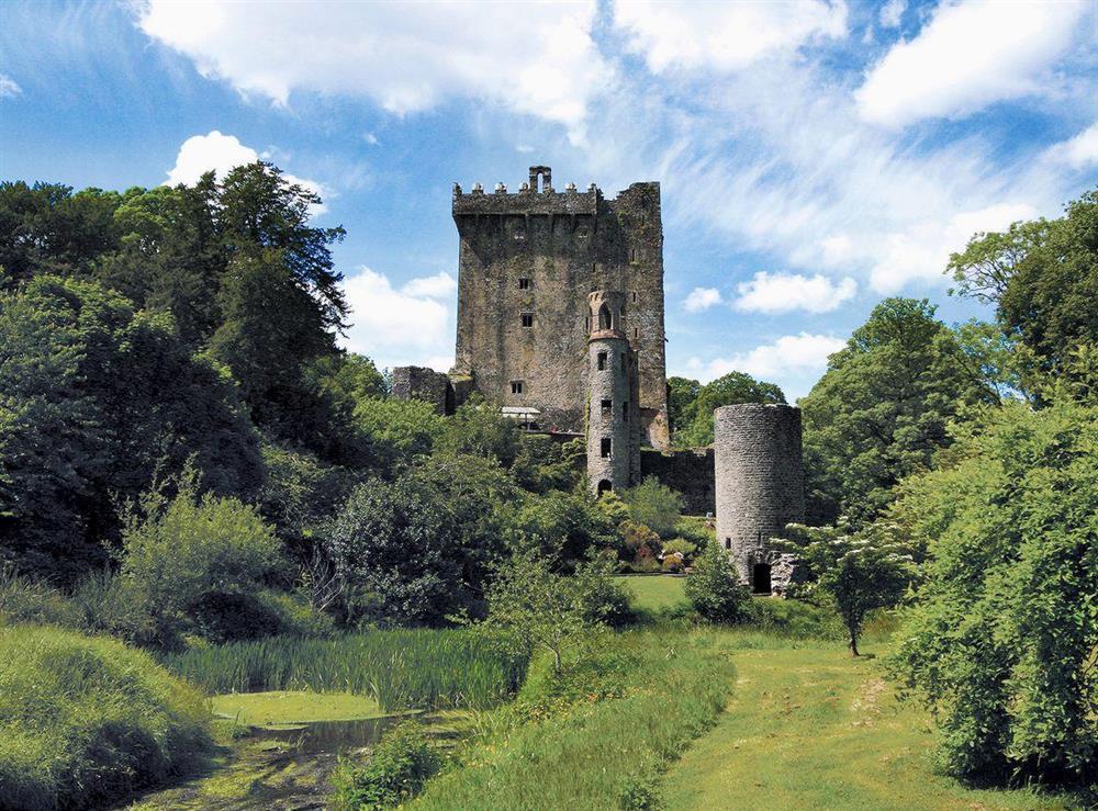 Photos of Cnoc na Gaoithe Boherbue, Co. Cork, Ireland
