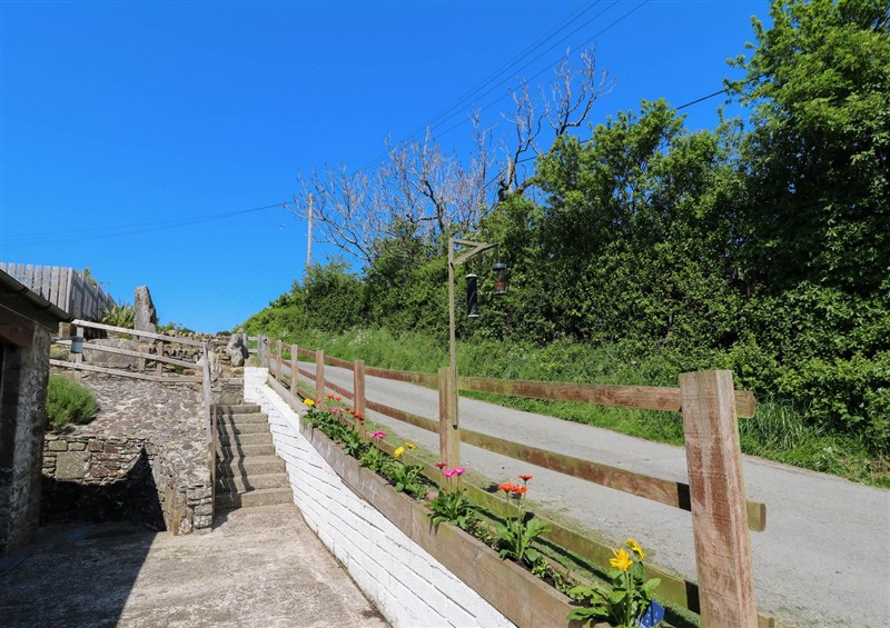 Enjoy the garden at Coach House, Llangrannog