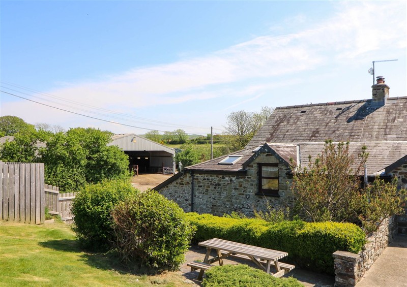 Outside at Coach House, Llangrannog