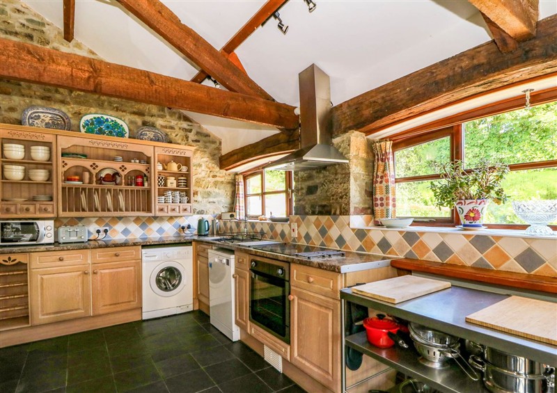 The kitchen at Coach House, Llangrannog