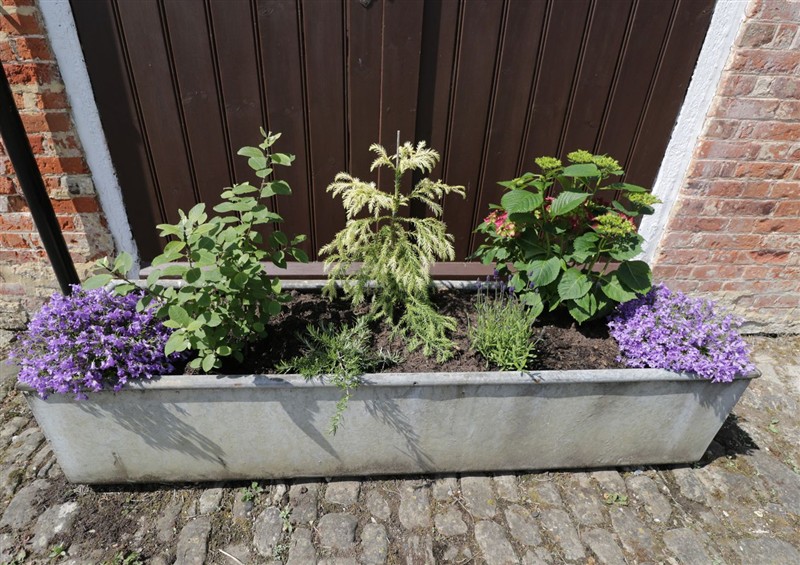 Enjoy the garden at Coach House, Royal Wootton Bassett