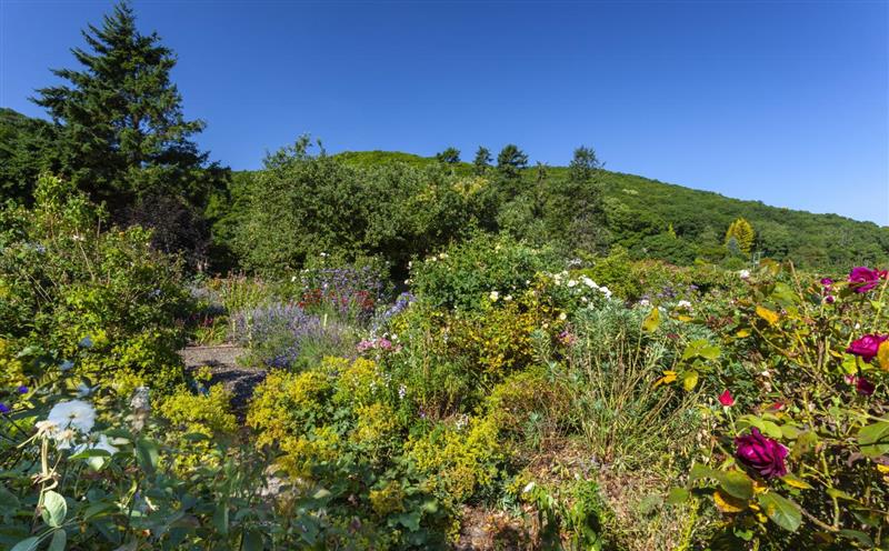 The area around Coach House View