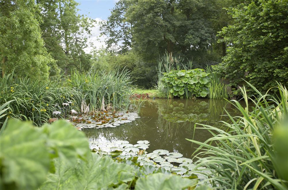 There is a very large fenced pond/lake in the gardens and a brook at the bottom of the woods (photo 2) at Coach House (Worcestershire), Fishpools