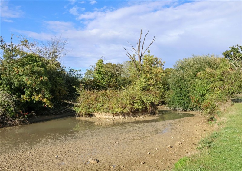 Rural landscape at Coachmans Cottage, Ipswich