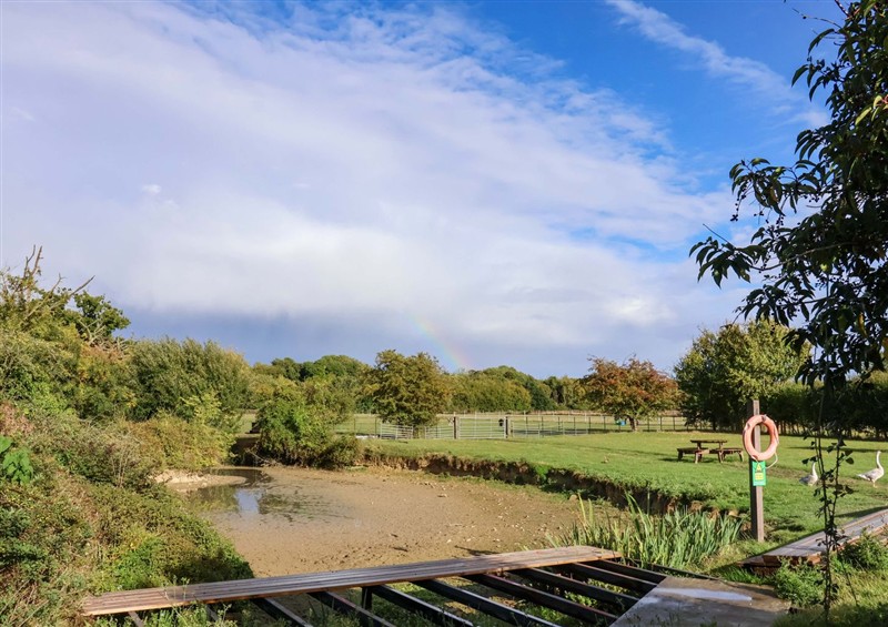 The setting around Coachman's Cottage at Coachmans Cottage, Ipswich
