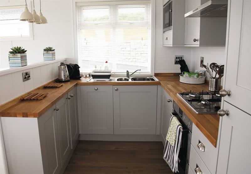 Kitchen in the Sid 2 at Coast View Holiday Park in Shaldon, South Devon