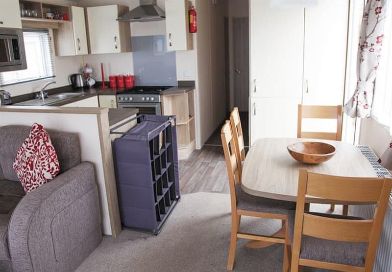 Kitchen, living area, and dining area in the Bray at Coast View Holiday Park in Shaldon, South Devon