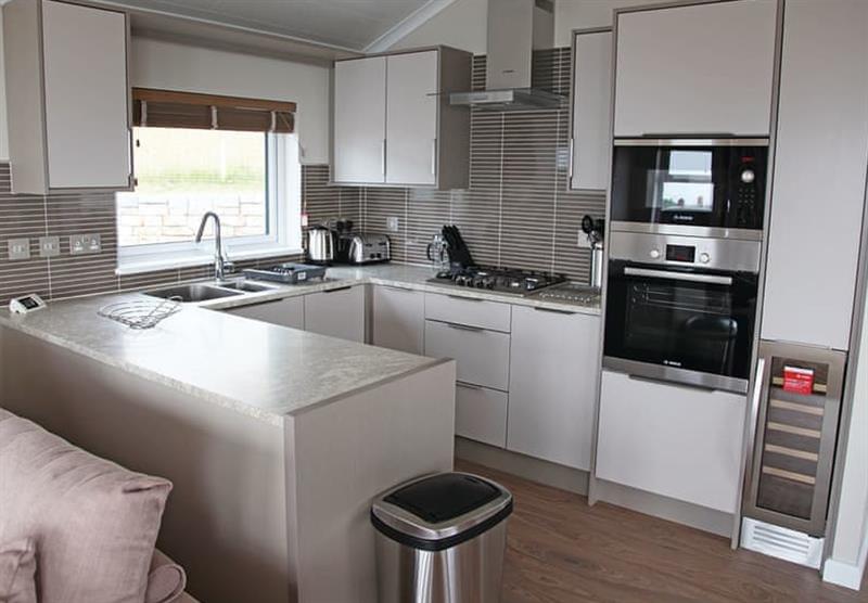 The kitchen in the Teign 2 at Coast View Holiday Park in Shaldon, South Devon