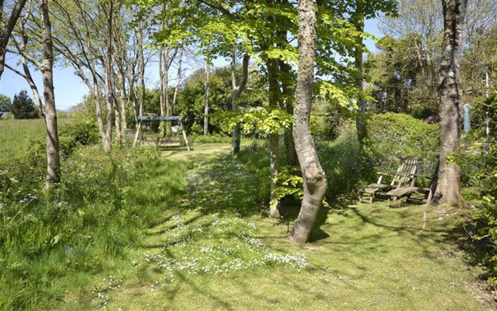 The large gardens at Cob Cottage in Kingsbridge