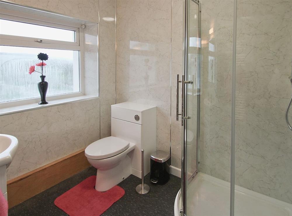 Shower room at Cob Cottage in Tregaron, Dyfed