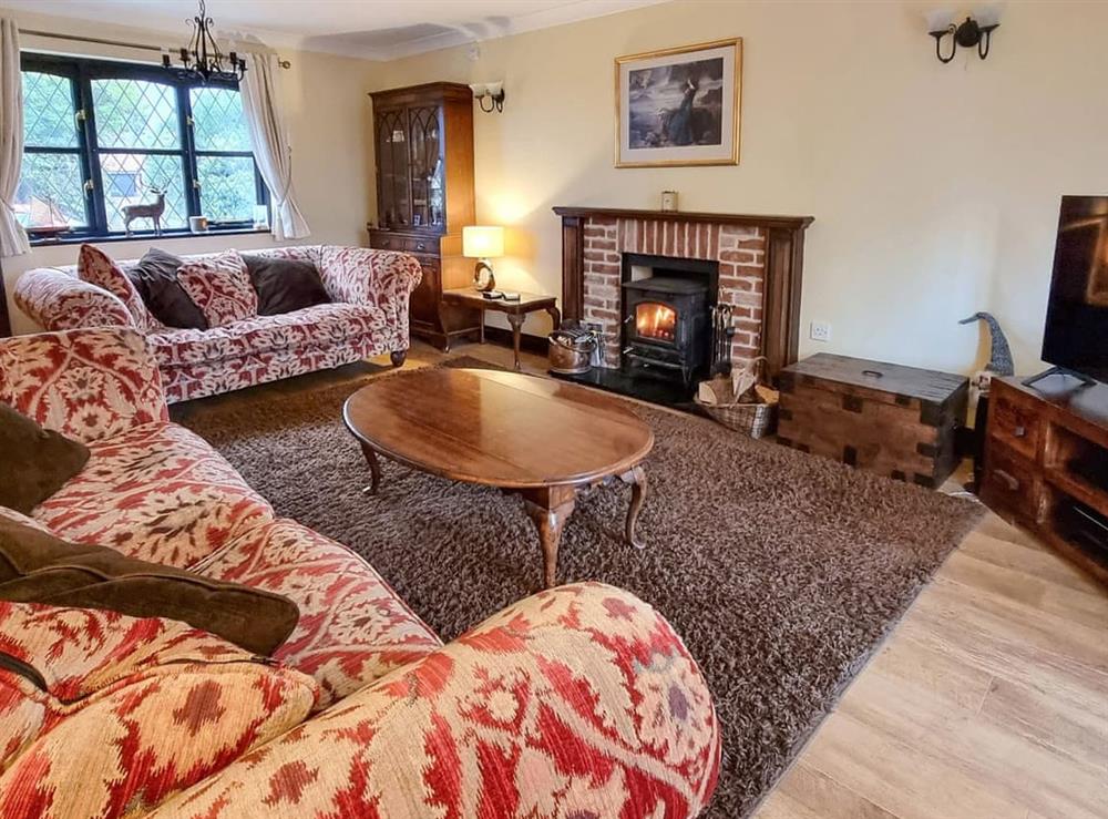Living room at Cobweb Cottage in Ludham, Near Great Yarmouth, Norfolk