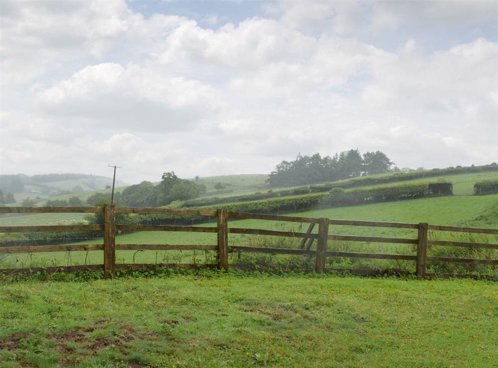 View at Coed Tir in Gladestry, near Kington, Powys
