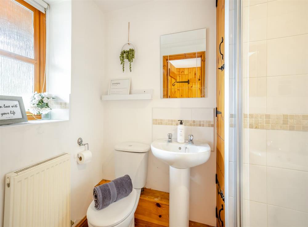 Shower room at Coed Y Gaer Annexe in Llansilin, near Oswestry, Shropshire