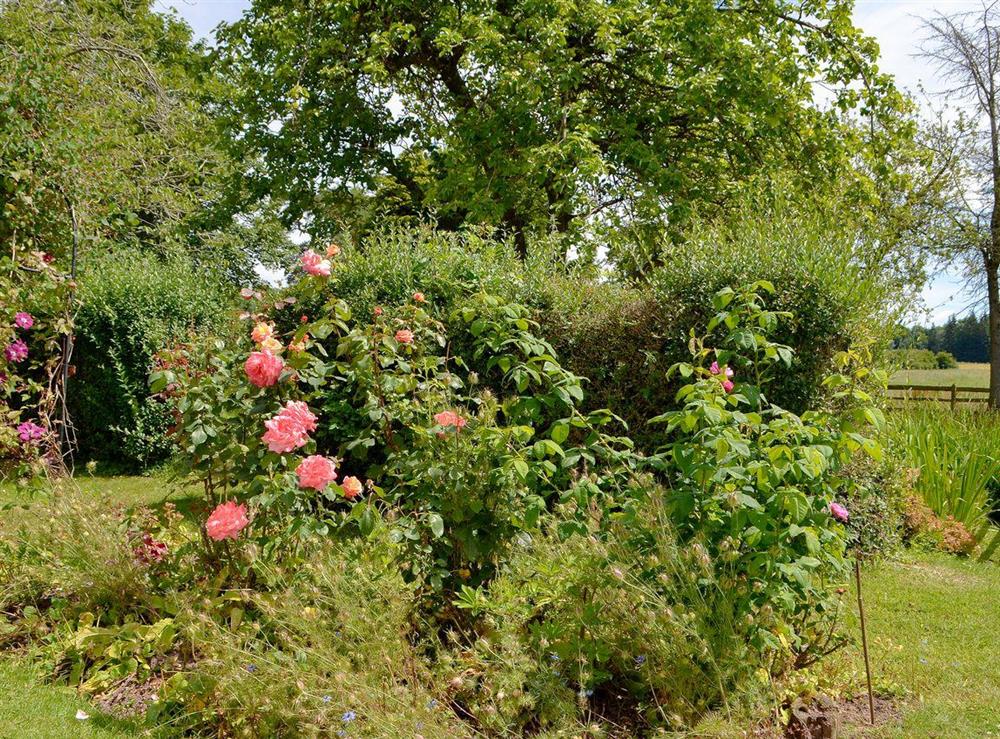 Coed-Y-Gelli Cottage in Llanarth, near Abergavenny ...