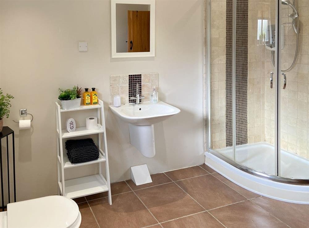 Shower room at Coed y Nant Barn in Rhôs, near Pontardawe, Glamorgan, West Glamorgan