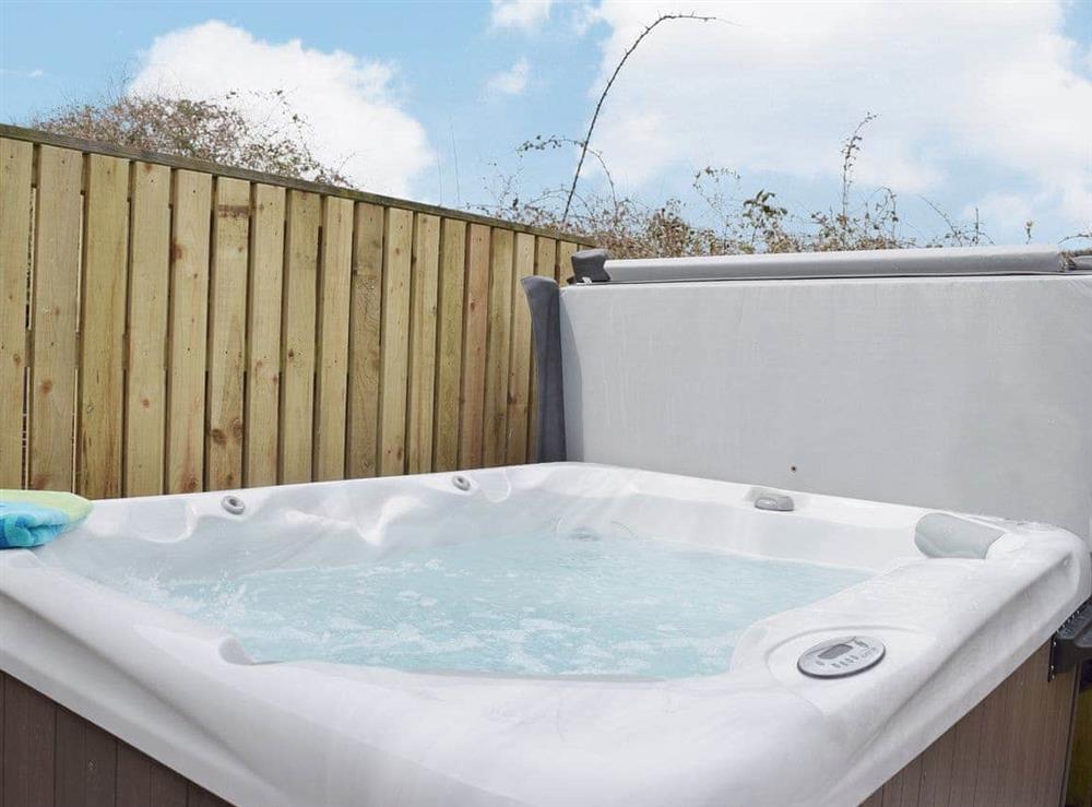 Hot tub (photo 2) at Coeden Afal in Kidwelly, Dyfed