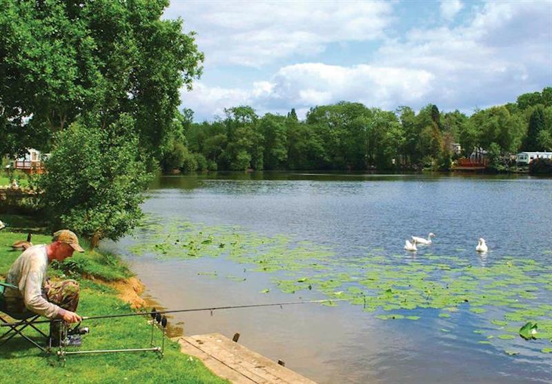 Fishing lake at Coghurst Hall in Hastings, Sussex