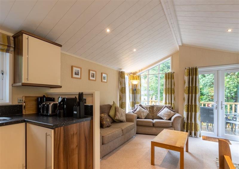 Relax in the living area at Coldfell Lodge, Calgarth 22