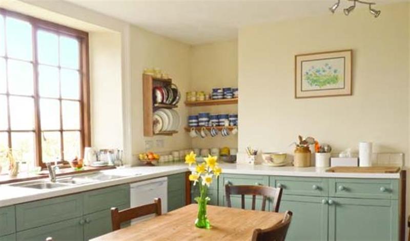 The kitchen at Coles Cottage, Holsworthy