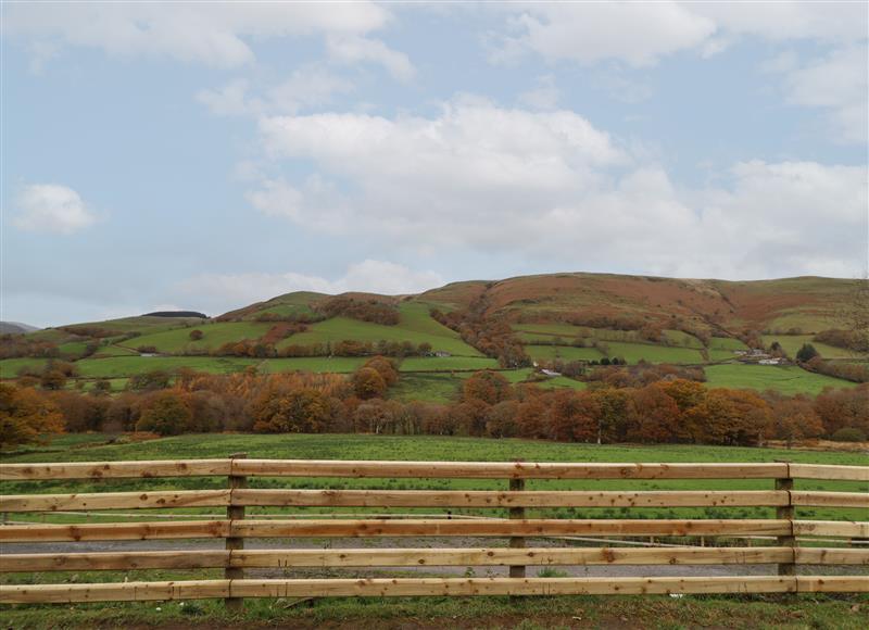 The area around Collfryn at Collfryn, Mallwyd