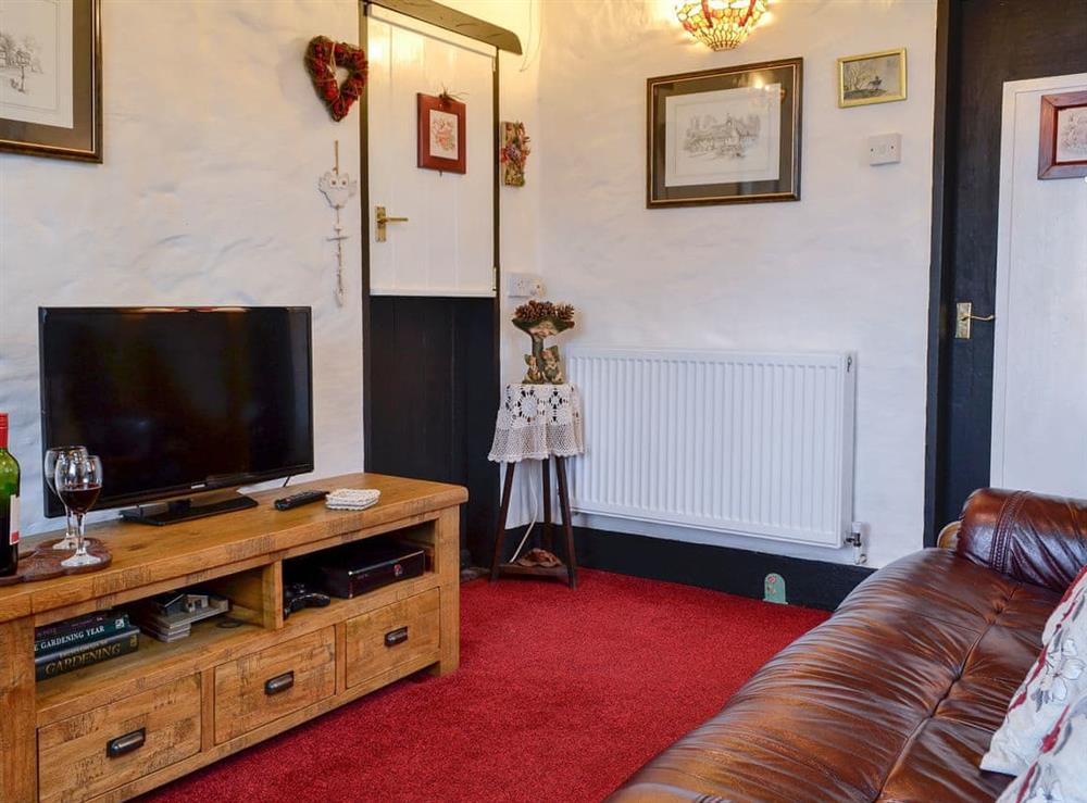Cosy living room with wood burner (photo 2) at Colomendy Lodge in Corwen, Denbighshire