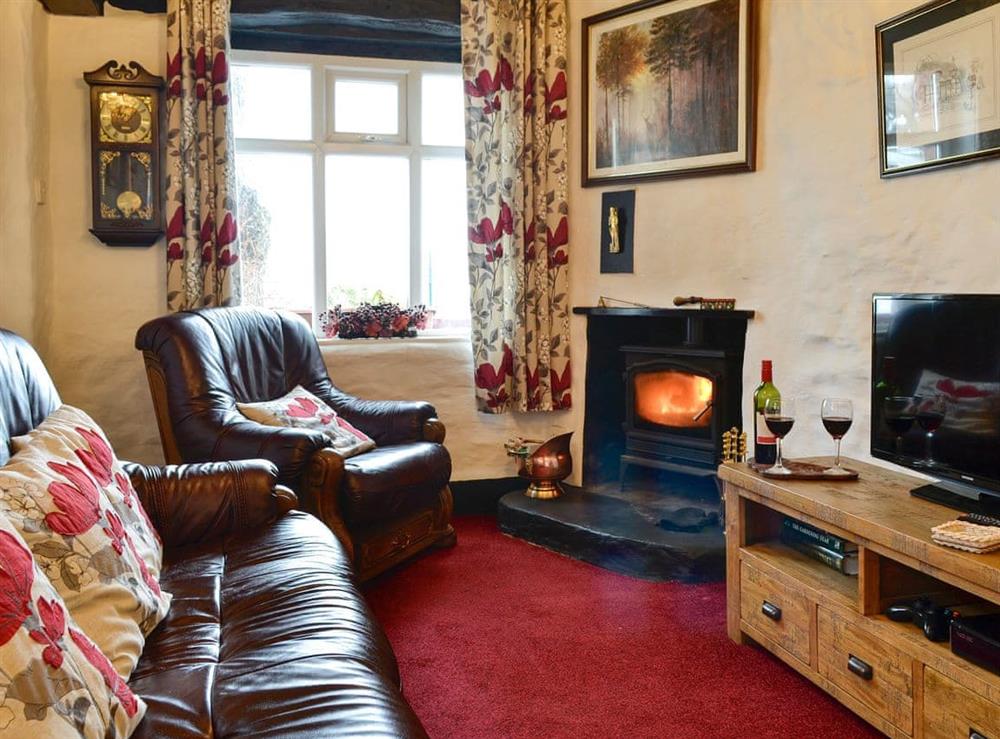 Cosy living room with wood burner at Colomendy Lodge in Corwen, Denbighshire