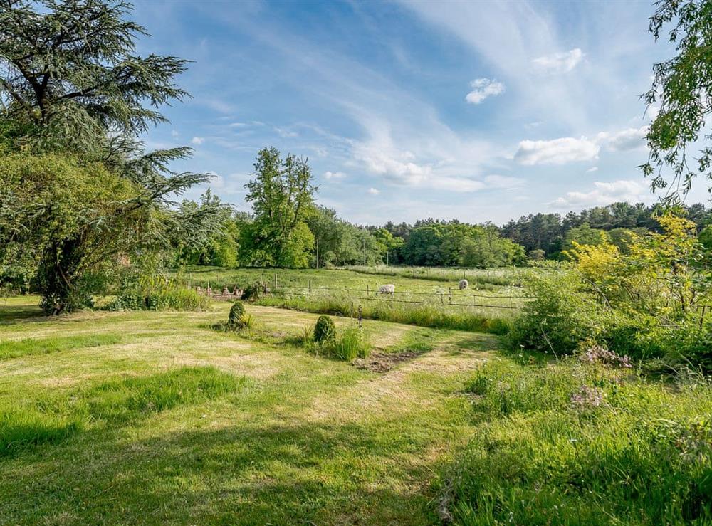 Beautiful large, enclosed, south-facing garden (photo 2) at Colveston Manor in Mundford, Norfolk