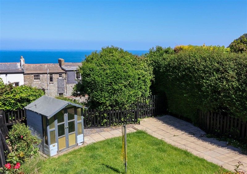 Enjoy the garden at Combe View, Ilfracombe